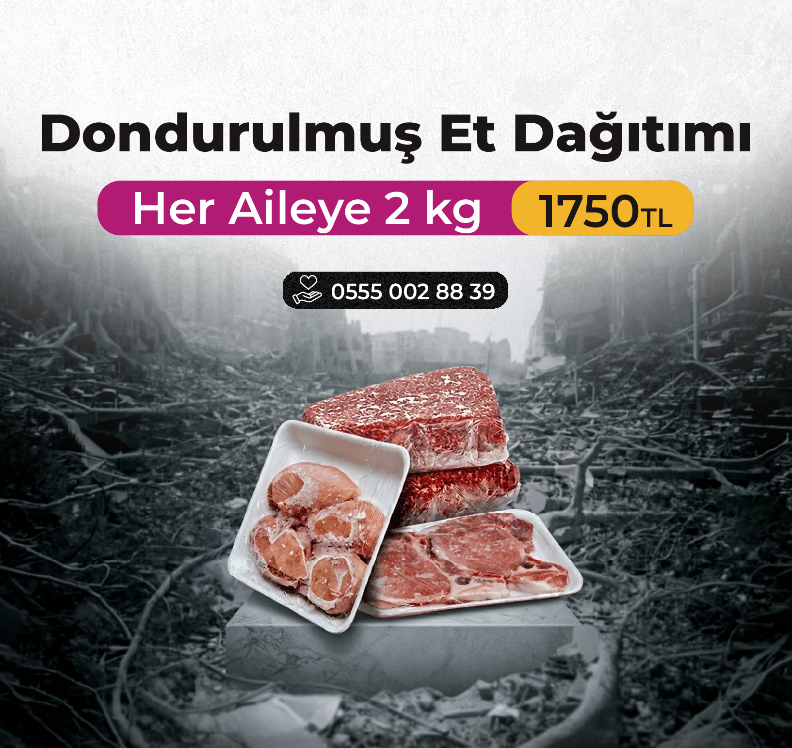 KURBAN BAĞIŞI  Gazze - Dondurulmuş Et Dağıtımı 
